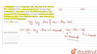 A hexapeptide has the composition AlaGlyPheVal Both the N terminal and C teminal units [upl. by Perrine374]