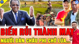 🔴THẾ GIỚI VỠ ÒA Team Quang Linh Vlogs DẤU HIỆU ĐẠI THÀNH CÔNG TRỒNG LÚA MÙA KHÔ ĐANG ĐẾN QUÁ NHANH [upl. by Esertap801]