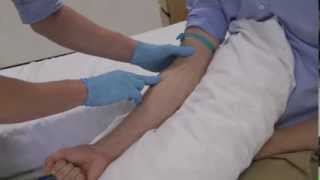 How to select the best vein for clinical skills cannulation and venepuncture [upl. by Erot345]