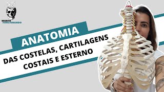 ANATOMIA DAS COSTELAS CARTILAGENS COSTAIS E ESTERNO CAIXA TORÁCICA 3 [upl. by Renzo571]