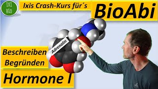 Hormone 1  Vergleich Peptidhormone und Steroidhormone  Übersicht über Funktionsweise von Hormonen [upl. by Norraa]