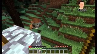 Minecraft – Stunde der Kritiker [upl. by Lielos]