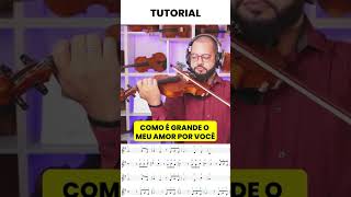 Como é Grande o Meu Amor Por Você no Violino  Parte 1 [upl. by Lapham]