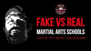 The Pit Online Dojo Fake vs Real Martial Arts Schools [upl. by Spear]