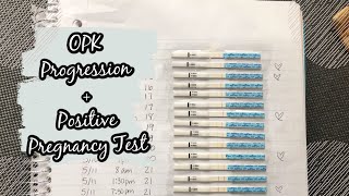 OPK Progression  Positive Pregnancy Test  Irregular Cycles [upl. by Stevena]