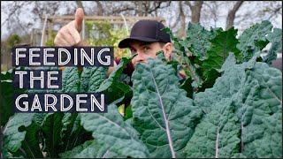 HOW TO FERTILIZE A VEGETABLE GARDEN  FOLIAR SPRAY METHOD [upl. by Barclay]