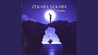 Zekara Nekara [upl. by Mercola]