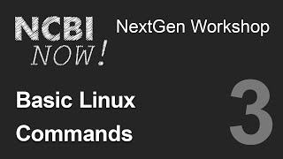 NCBI NOW Lecture 3 Introduction to the Linux Shell [upl. by Terag]