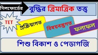 বুদ্ধির তত্ত্ব গিলফোর্ডের ত্রিমাত্রিক তত্ত্ব I GUILFORD’STRI DIMENSIONAL THEORY intelligence [upl. by Theodoric]