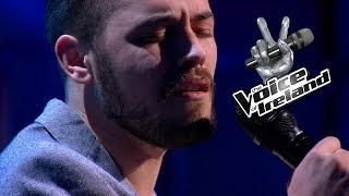 Darragh Lee  Photograph  The Voice of Ireland  Blind Audition  Series 5 Ep6 [upl. by Aerdnuahs]