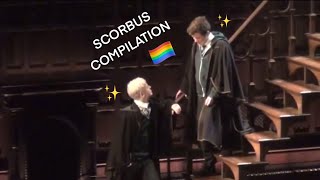 Albus and Scorpius being in love for 11 mins and 37 seconds straight  CURSED CHILD COMPILATION [upl. by Aloel524]