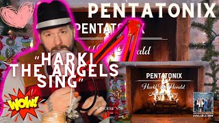 Hark The Angels Sing  Pentatonix Reaction “WOW” [upl. by Trumaine36]