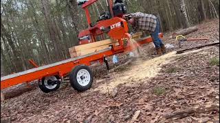 Loblolly Pine into 2x4s WoodMizer LT15 turns Beam into eight 2x4 boards [upl. by Shae]