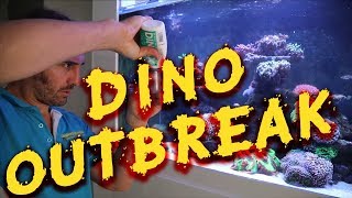 EPIC Tank 4 DINO OUTBREAK  Gallery Aquatica TV [upl. by Eiuqnom411]