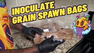 Inoculating Grain Spawn from Midwest Grow Kits  Bulk Growing Series pt 1 [upl. by Arvy102]