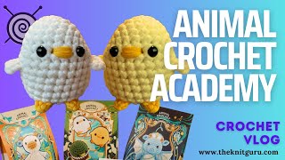 My review of the Animal Crochet Academy [upl. by Hammel203]