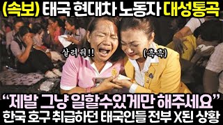 한국 없어도 잘 산다던 태국 총리 한국 대기업 전부 철수움직임 보이자 이제서야 싹싹 비는 상황 [upl. by Yanal]