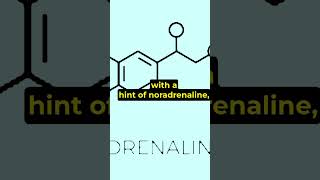 Adrenalin edit adrenalinerush scienceexplained fightorflight didyouknowspace funfacts [upl. by Neelahs]