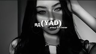 яд yad  erika lundmoen english version lyrics [upl. by Dwinnell]