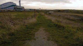 Bird photography at Crossness Nature Reserve and the Thames Path SouthEast London [upl. by Edijabab626]