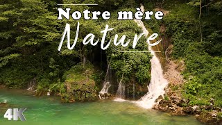 Musique Relaxante au Piano  Bruit de la Nature  Relaxation Méditation  Antistress sendormir [upl. by Viv58]