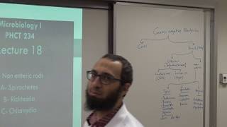 Nonenteric Gramnegative Bacteria Part one [upl. by Caiaphas]