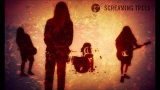 Screaming Trees Covers BSides and Alternate Versions [upl. by Corby]