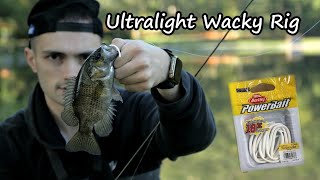 Rock Bass Fishing with Ultralight Wacky Rig [upl. by Cordell956]