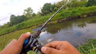 Lakas ng Hatakan sa Street Fishing Dalag  Mancing Ikan Gabus Babon fishing mancing ikangabus [upl. by Fe]