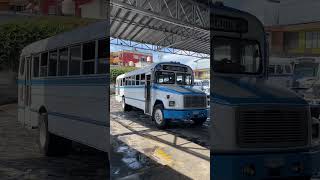 Puro clásico de Autotransportes Banderilla buses autobuses [upl. by Ellerol537]