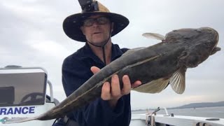 Fishing for Jewfish and Flathead Lake Macquarie [upl. by Barker]