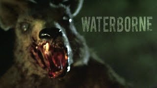 Waterborne  Zombie Kangaroo Short Film Official [upl. by Edelson]