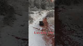 Snow hiking fail Fay Canyon Sedona Arizona sedona sedonaarizona traillife sunrise fail [upl. by Aneeles541]