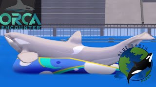 Orca Encounter In La Palma Blue Earth  La Palma Zoo tycoon 2 [upl. by Gambrill]