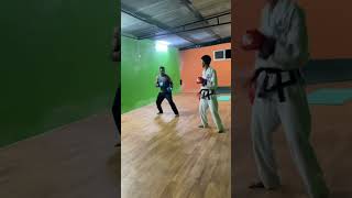 Taekwondo sparring practice [upl. by Haem611]