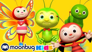 Bugs Bugs Bugs Bugs  LBB Songs  Learn with Little Baby Bum Nursery Rhymes  Moonbug Kids [upl. by Onabru169]