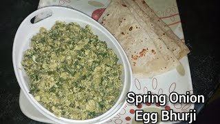 Spring Onion Egg Bhurji  Egg Bhurji with Spring Onion [upl. by Notnyw280]