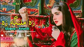 Za Malanga Za Hashmat Sahar Shinaz Swati Pashto New Songs  SlowedReverb  2023 harisofficial5869 [upl. by Ulrich]