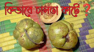 Lovely TA is live  কিভাবে চালতা কাটে  কিভাবে চালতার আচার বানায়  চালতা [upl. by Taveda]