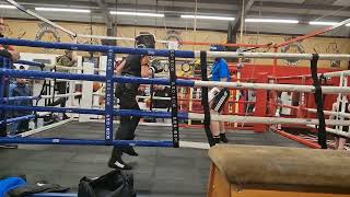 kasey sparring jnr witters kid 131124 [upl. by Elletnohs]