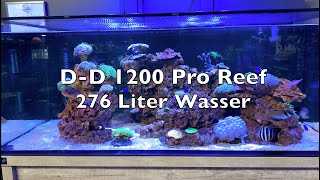 DD 1200 Pro Reef Aquarium Meerwasser  Arka Core Abschäumer  ClariSea SK 5000 Eheim UV Schaubecken [upl. by Belen469]