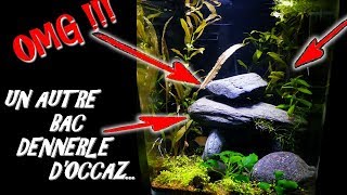 AQUARIUM DENERLE PAS CHER  VLOG NANO Aquariophilie by Aquazen [upl. by Norraa791]