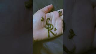 Beautiful name mehdi design mehndi mehndidesign video viralshort [upl. by Ydarg280]