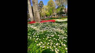 İstanbul Gülhane parkı [upl. by Clausen]