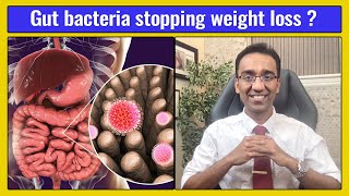 GUT BACTERIA  How to USE this to lose weight  Dr Pal [upl. by Mast]