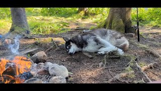 Campground Review Lac du Sourd PapineauLabelle Wildlife Reserve [upl. by Ientruoc47]