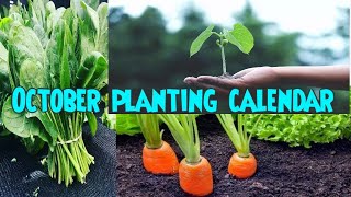 October planting calendar [upl. by Fonville441]