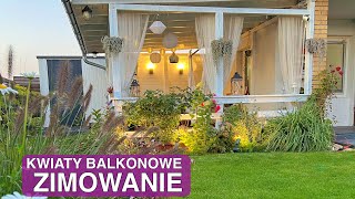 KWIATY BALKONOWE NA ZIMĘ Jak zimować pelargonie Jak zimować begonie Kwiaty w ogrodzie [upl. by Eustazio]