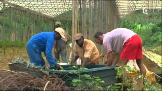 Reportage sur lîle de Mayotte [upl. by Morrie856]