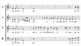 Bass Lotti Miserere Score [upl. by Ramey]